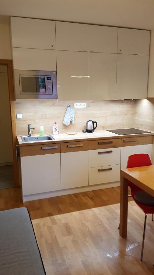 רוקיטניצה נאד איז'רו Rokytka Apartman 217 מראה חיצוני תמונה