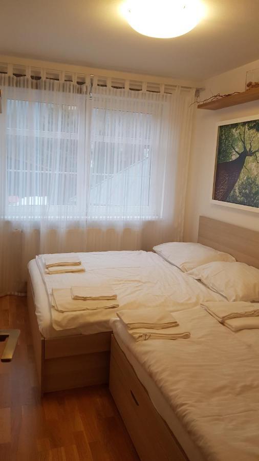 רוקיטניצה נאד איז'רו Rokytka Apartman 217 מראה חיצוני תמונה